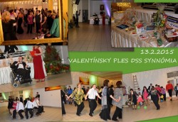 ples_2015_do_nov_n.jpg