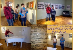rosenfeldov_pal_c_v_stava_13.jpg