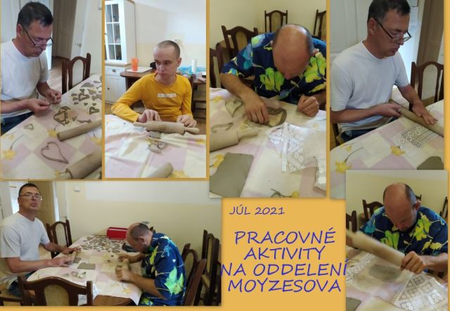 Pracovné aktivity klientov