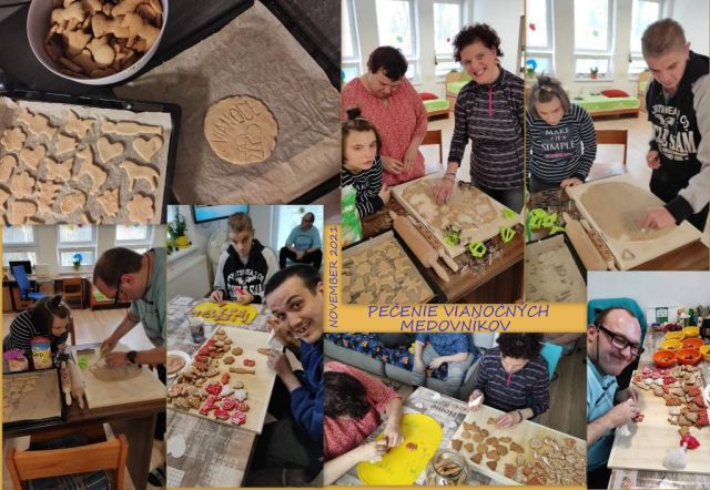 MEDOVNÍKY NA DECEMBER