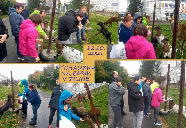VYCHÁDZKA NA BôRIK V ŽILINE
