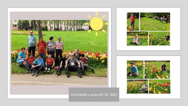 prechádzka v parku a nácvik orientácie